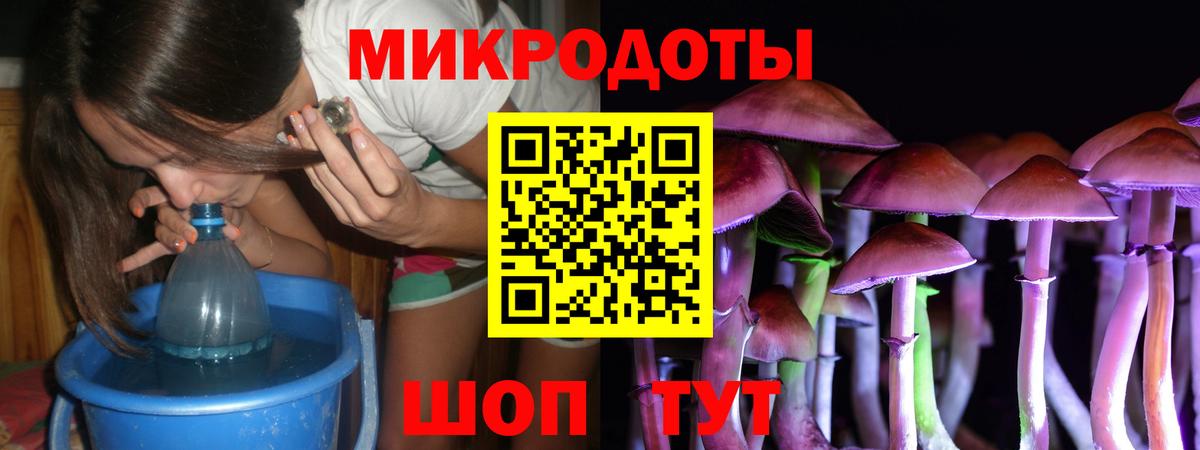 Галлюциногенные грибы Psilocybe Саянск